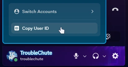 Copy Discord User ID