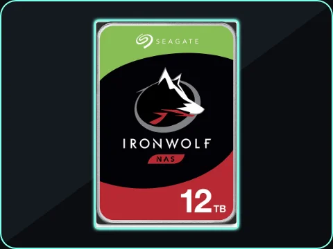 Seagate IronWolf 12TB