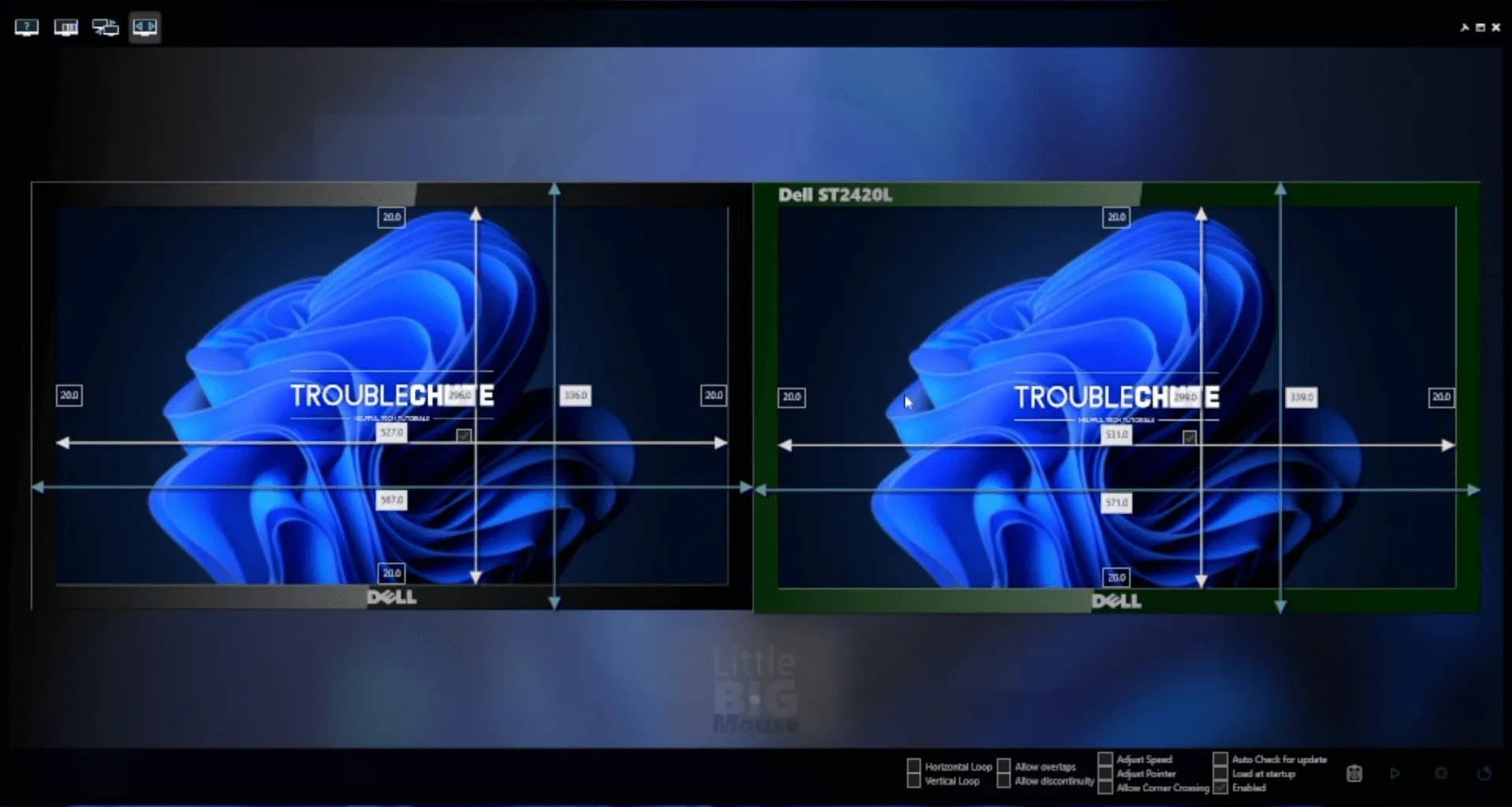 Fine-tuning resize